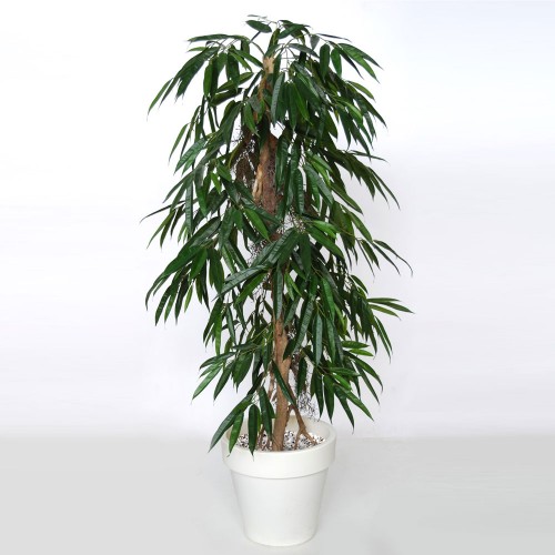 Planta semi-artificiala Ila, Longifolia Pendula Green - 160 cm